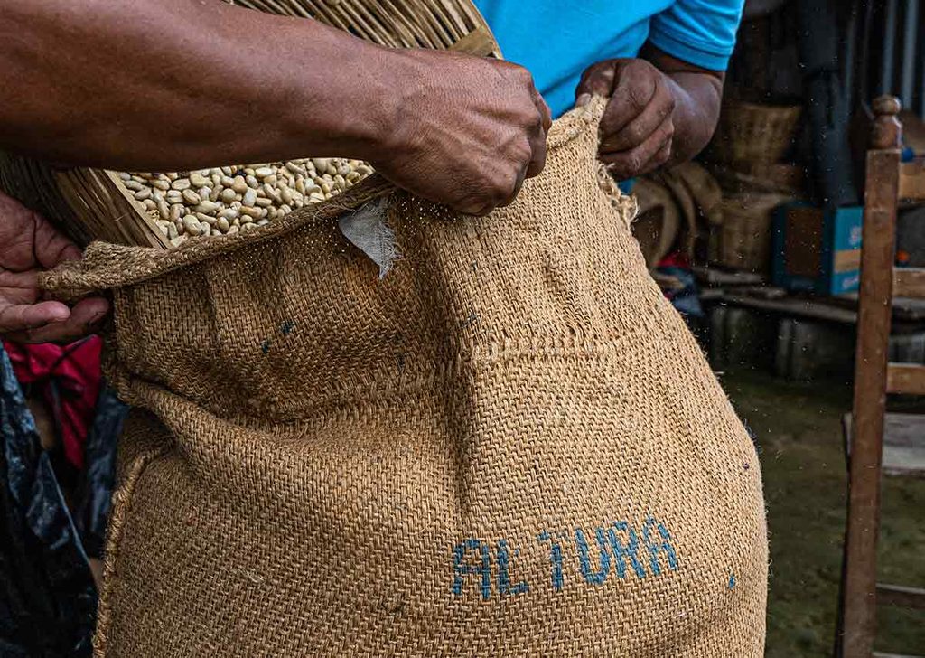 desarrollo de pequeños productores