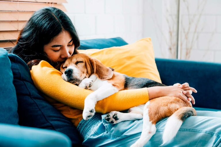 Estudio de Mars revela el panorama de la adopción de animales de compañía en México