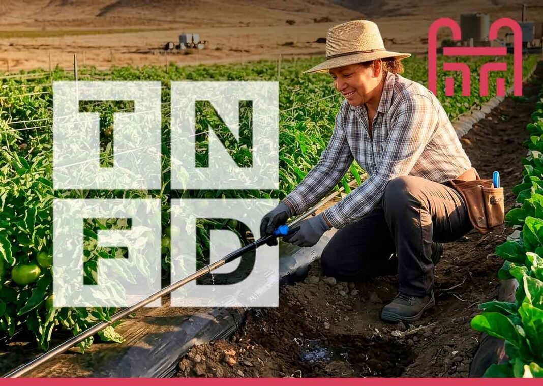 iniciativa global TNFD