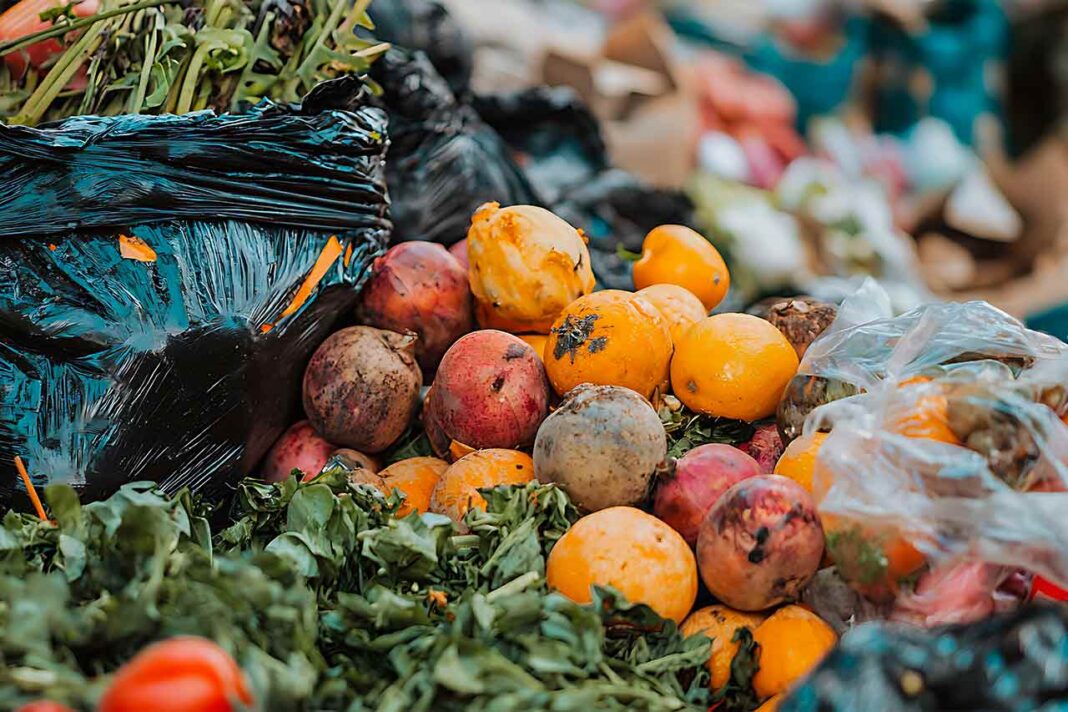 desperdicios de alimentos