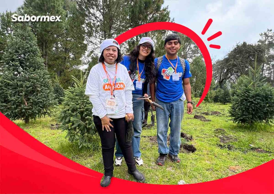 reforestación de Sabormex