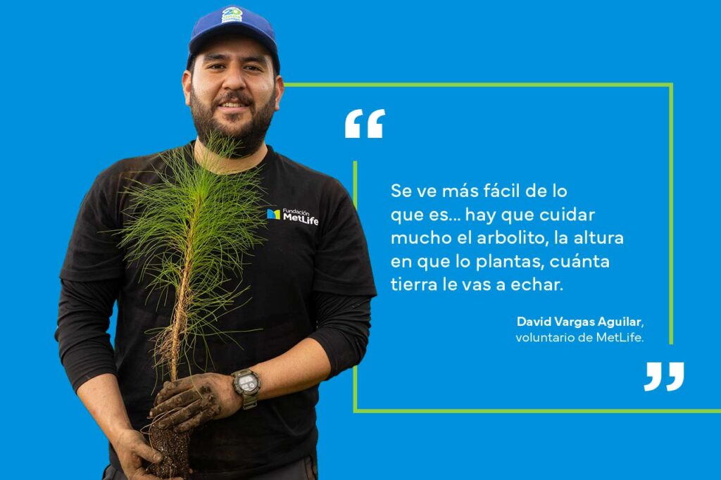 Fundación MetLife