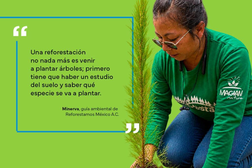 Fundación MetLife