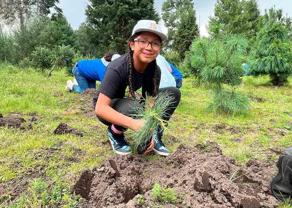 reforestación de Sabormex