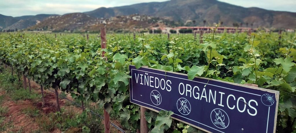 Cielo Valle de Guadalupe
