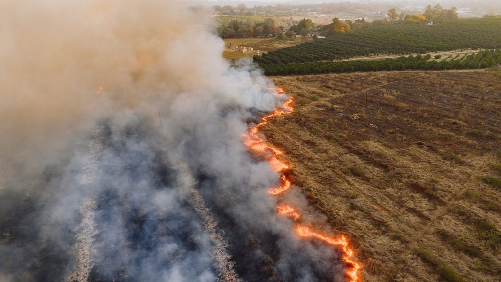 cambio climático en el mercado laboral
